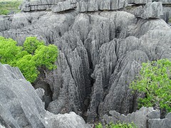 DSC00589