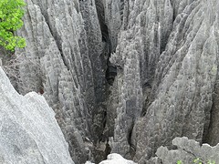 DSC00593