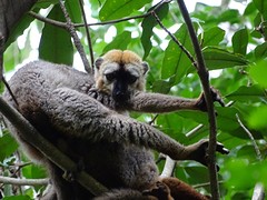 DSC00609