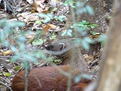 DSC00617