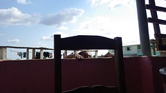 IMGP2724