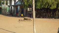 IMGP2727