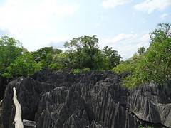 DSC00727