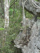 DSC00752
