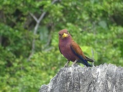 DSC00757