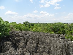 DSC00759