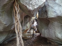 DSC00765