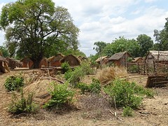 DSC00772