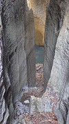 IMGP2742