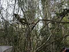 DSC00934