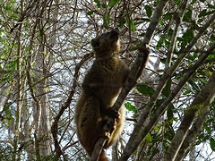DSC00950