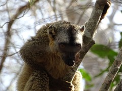 DSC00951