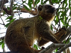 DSC00961
