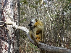 DSC00964