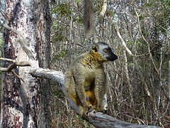 DSC00966