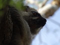 DSC00981