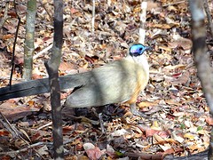 DSC00990