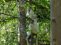 DSC00996