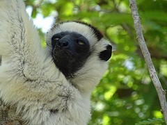 DSC00998