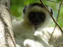 DSC01005