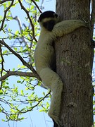 DSC01011