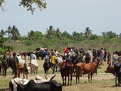 DSC01019