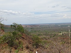 DSC01029