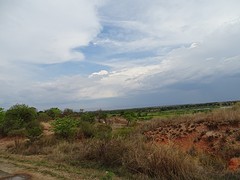 DSC01037