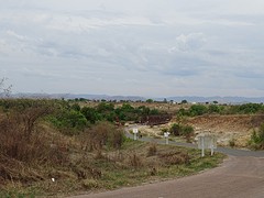 DSC01039