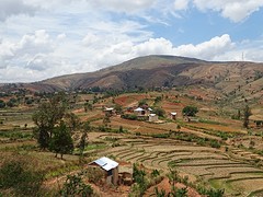 DSC01083