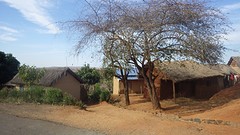 IMGP2860