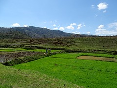 DSC01108