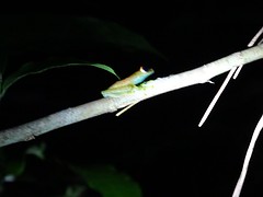 DSC01123