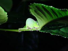 DSC01129