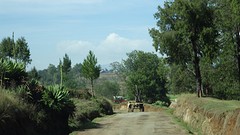 IMGP2904
