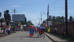 IMGP2917