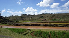 IMGP2933