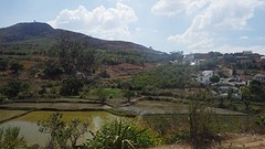 IMGP2963