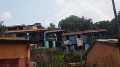 IMGP2968