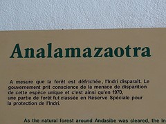 DSC01153