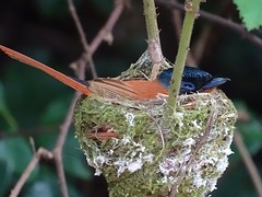 DSC01156