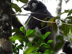 DSC01202