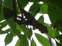 DSC01287