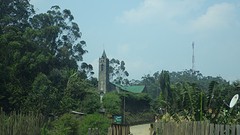 IMGP3049