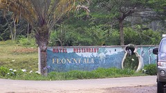IMGP3167