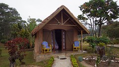 IMGP3168