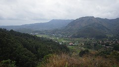 IMGP3171