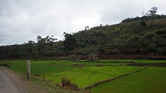 IMGP3178