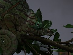 DSC01589