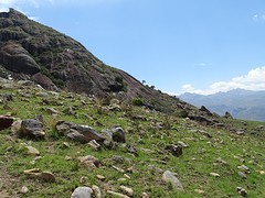 DSC01761